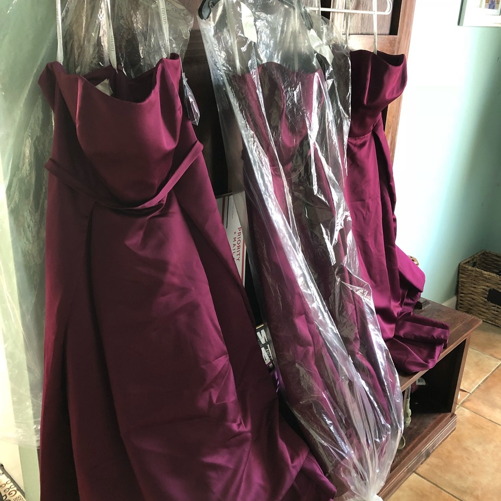 NWT David’s bridal bridesmaid dresses